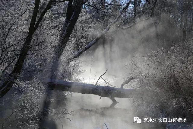 最爱巧克力纸杯蛋糕