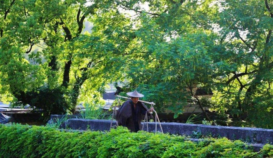 重生之玫瑰豪门