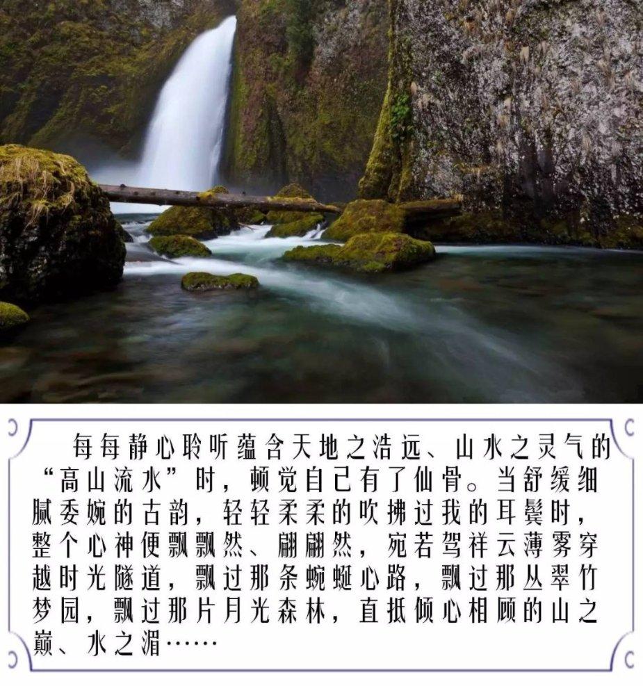 绿色猎人住宅逃生